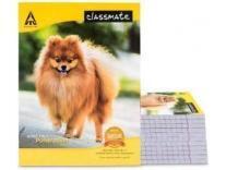 featured-deals