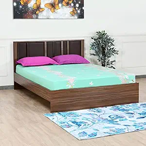 featured-deals