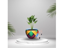 featured-deals
