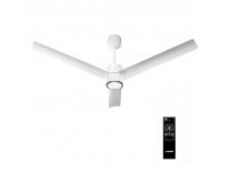 featured-deals