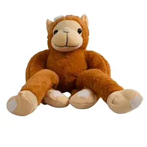 featured-deals