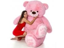 featured-deals