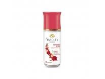 featured-deals