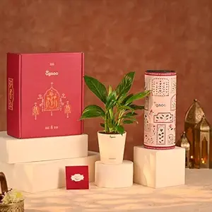 India Free Stuff