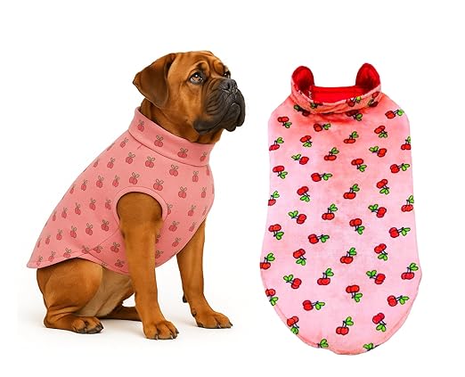 featured-deals