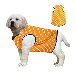 featured-deals