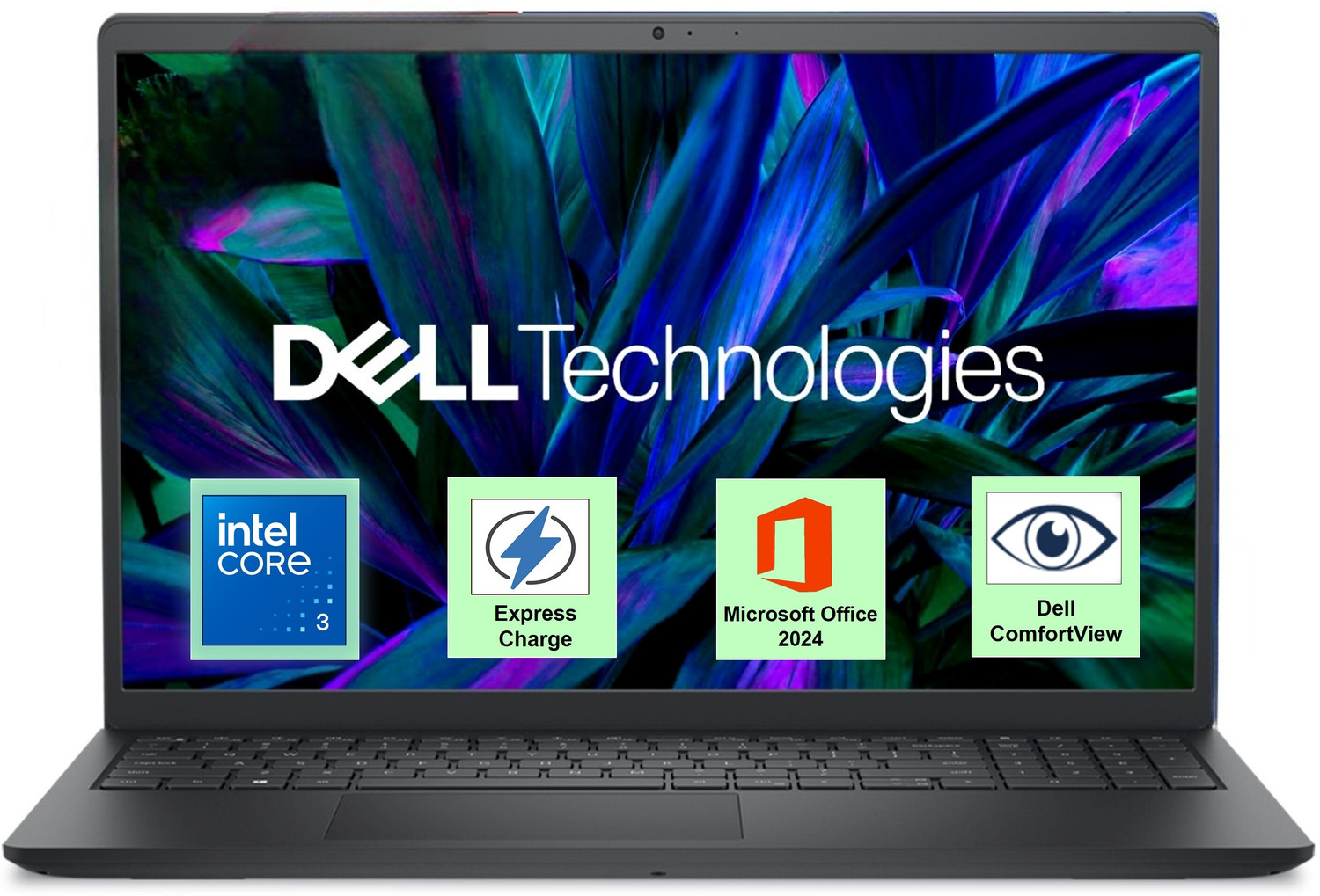 featured-deals