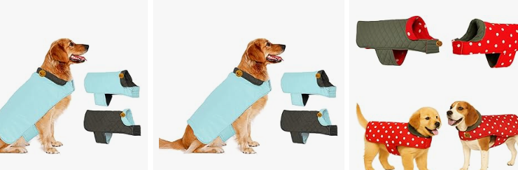 featured-deals