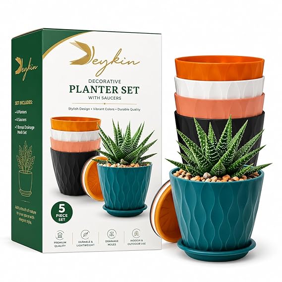 featured-deals