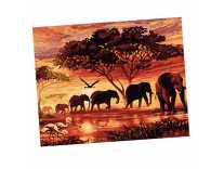 featured-deals