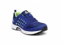 reebok shoes on myntra